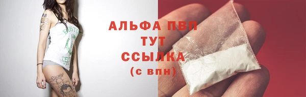 гашик Приозерск
