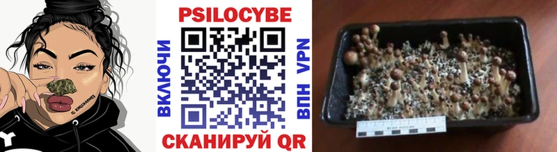 Псилоцибиновые грибы мицелий  mega сайт  Донецк  где можно купить наркотик 